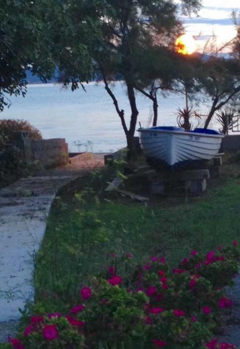Apartman Lipotica Diklo Zadar Eksteriør billede